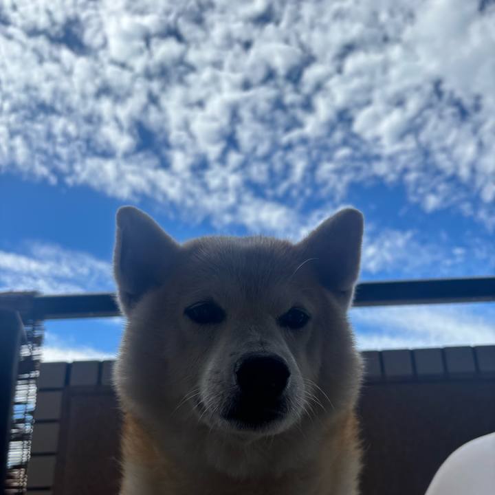 19e84587 064e 4e2a 8935 e187aef8d9a1 1749069454615