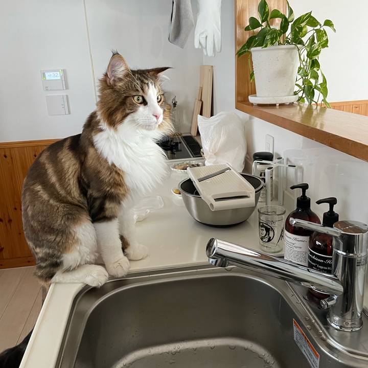 19e8618d 1145 40e8 aabd ec700f949000 1662069771422