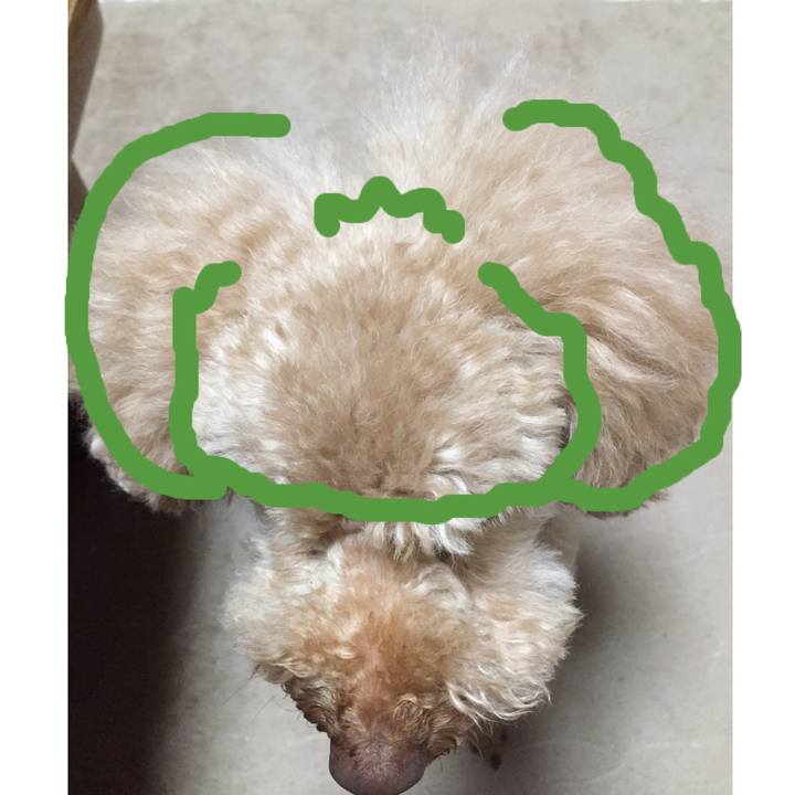 19e86915 aa2c 4e96 9c6f fc6d8bd8a302 1523749777712