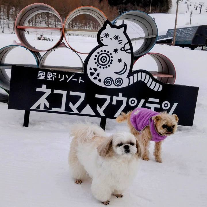 19e8d5c8 08df 41fd aa2a 4d8c04f80c7f 1750550396582