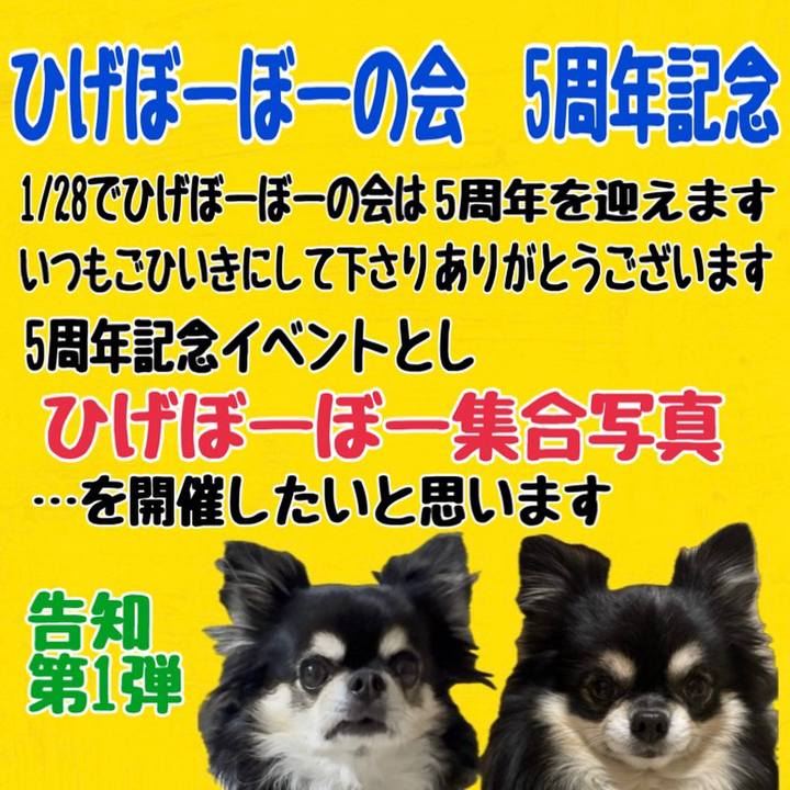 19e8d891 0f8f 449c 800a b579adfa309e 1736557770199