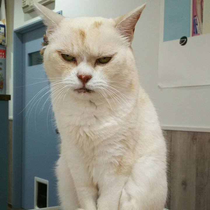 19e904ee aeae 4581 a404 fda6c9fcadf9 1563973575925