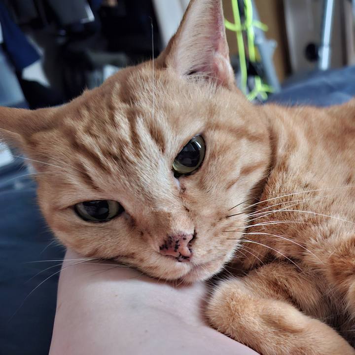 19e90be8 5c99 45f3 9eef 578d90e440d8 1756692201942