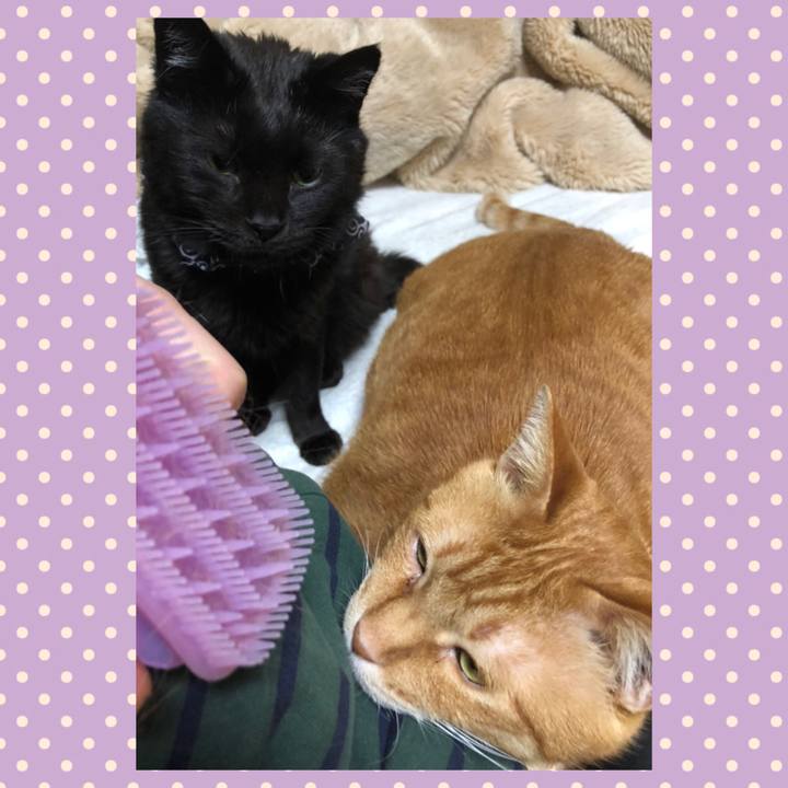 19e91a16 5f36 4330 a535 a5ebd9a4eb65 1615376128744