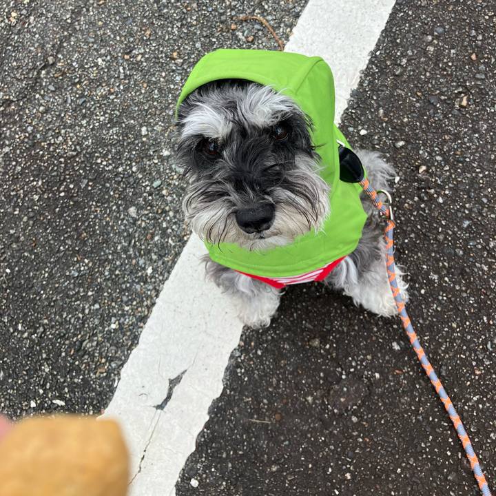 19e94e57 4be6 4acd a45c 1bb25c108e7a 1714536650411