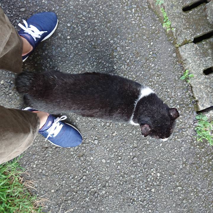 19e9548e e37c 4dbb a733 39483323797d 1661239422610