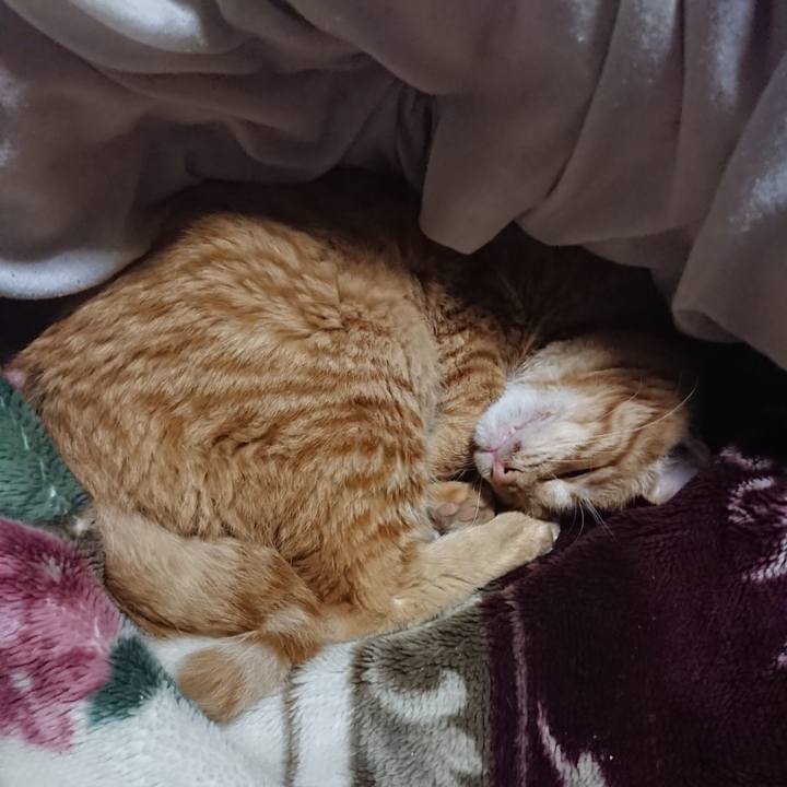 19e9677e 5bdb 4fa5 b85c 54720e59ab61 1640692170585