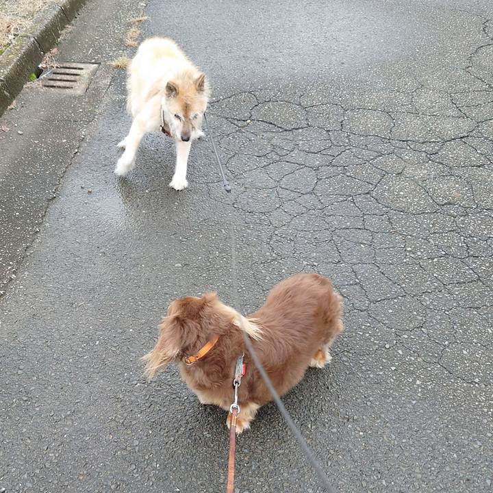 19e9692a 9a85 4557 a658 4ffd1e62851e 1634438078520