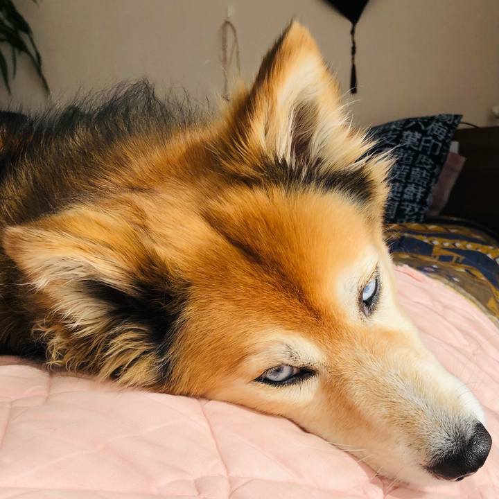 19e97532 aafe 4527 b2bd bbfc48c3ae6c 1613007833748