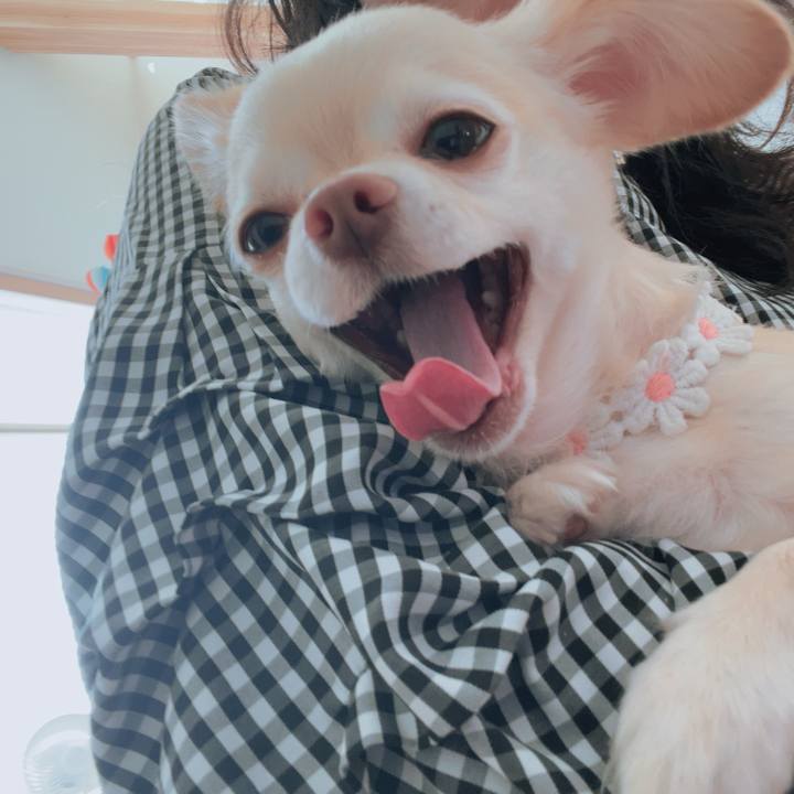 19e9864e f2a1 4f28 85ad 0a775b538645 1758595158426