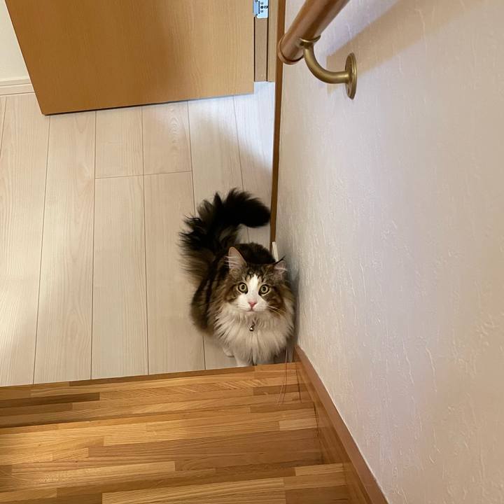 19e9937d f23c 4cf2 b019 d7dd1db4ff6e 1648561983778