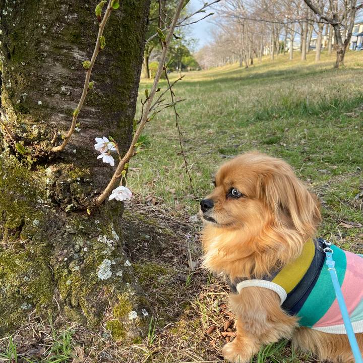 19e994fa 242e 458a afca 23c78cd23bfe 1616799931903