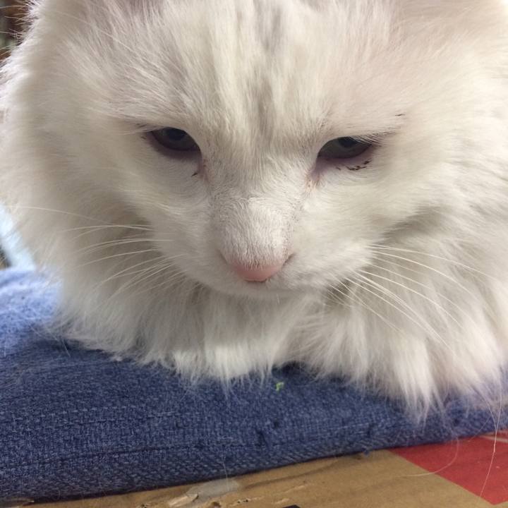 19e9fcf0 d9d0 4c8a 8212 9d9ecdf1bc1a 1513636101798