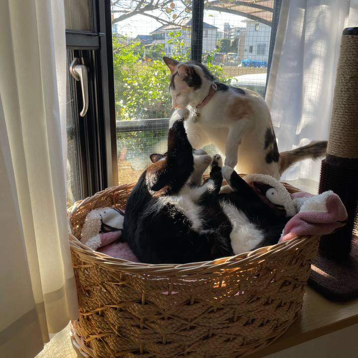 19ea0d45 3fb3 4dda a64c 5bca415a4273 1698626214072