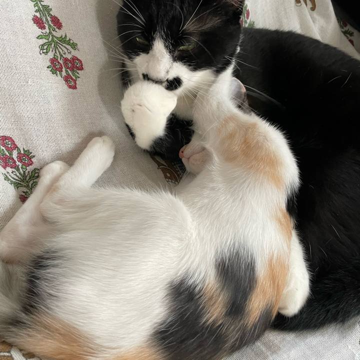 19ea1608 5b14 46f1 8d4c 9e4c9c40feba 1661494058659