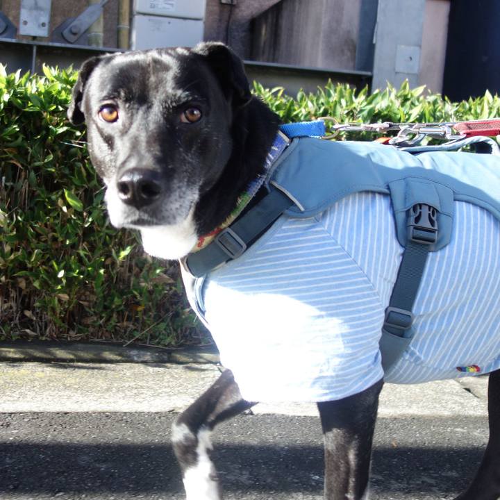 19ea1ab6 ffca 4697 a2d3 1605f3000ed5 1708909392413