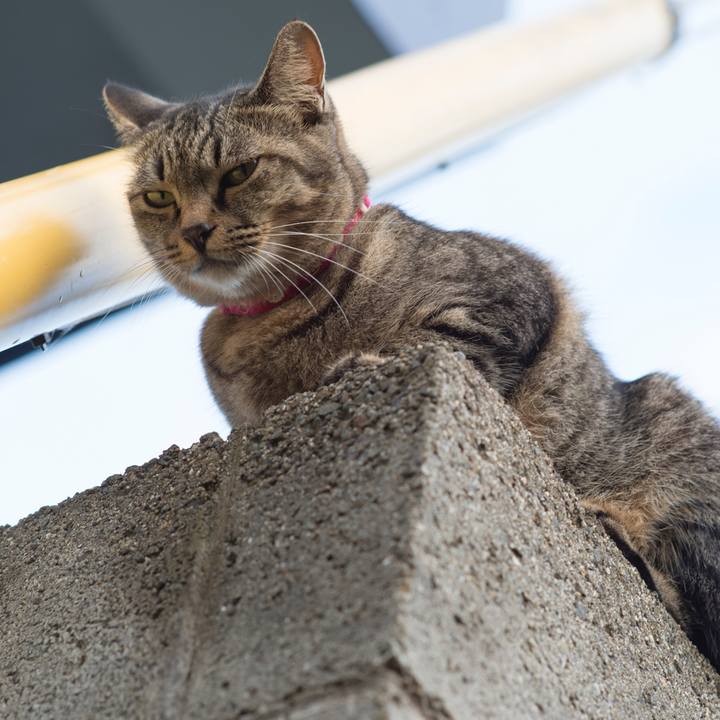 19ea494f 5a88 4a64 89c6 a58ebcd97846 1537057525144