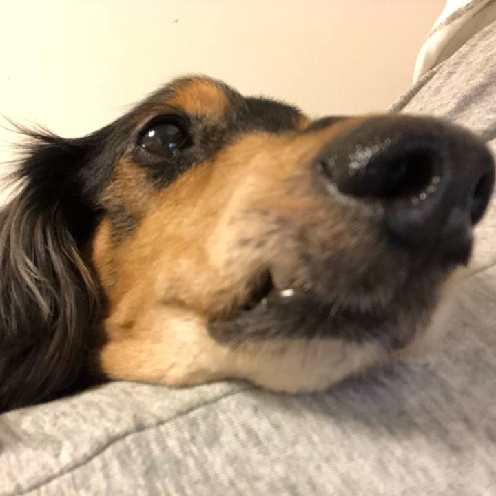 19ea585b 1fb3 4ef5 b4af a14c5ca90d4a 1576506545883