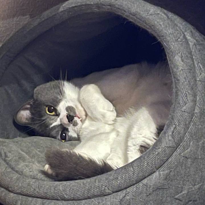 19ea775f 09f1 431e bbcd f2633bd9938e 1664369339396