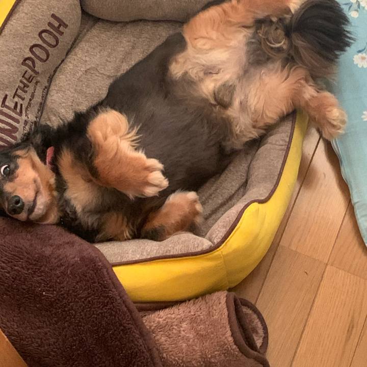 19ea8c9e 75bf 4587 9a42 6cdecb2419d6 1589320045112