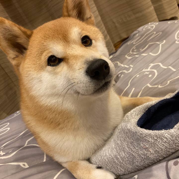 19ea968a 17eb 4636 aa6d a14bc7608945 1645270068177