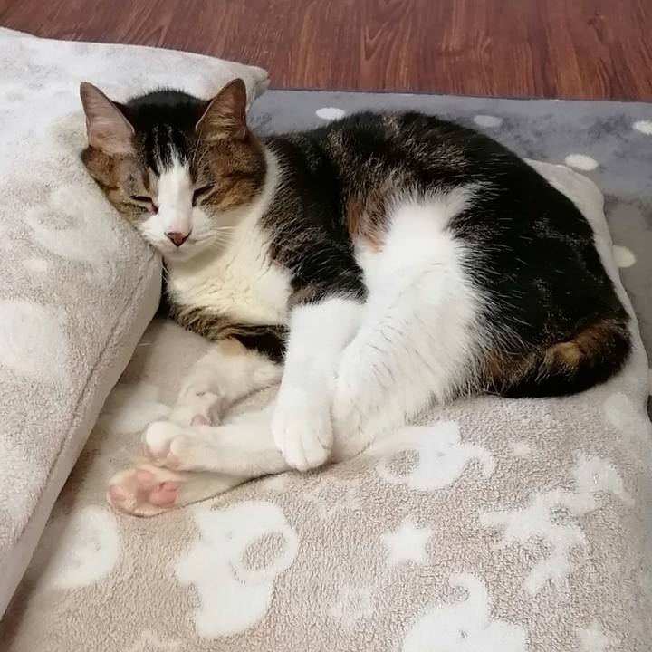 19ea9fdc c0ee 43dc b87c c6825e6bbc78 1608348758599