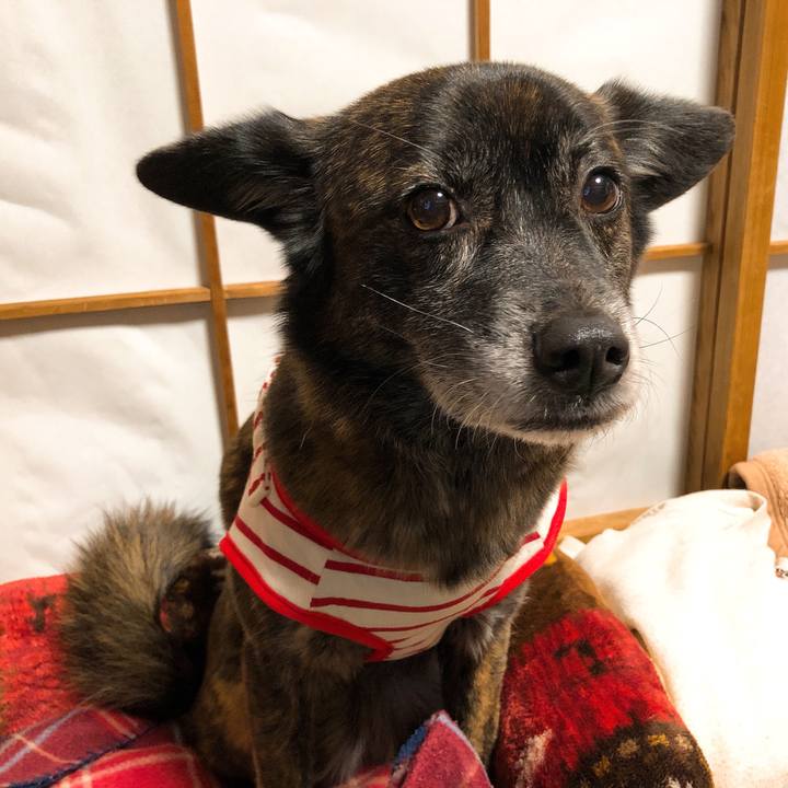 19eab4e3 ec7c 4e17 b4c5 f38a7bfb3f21 1583746806298