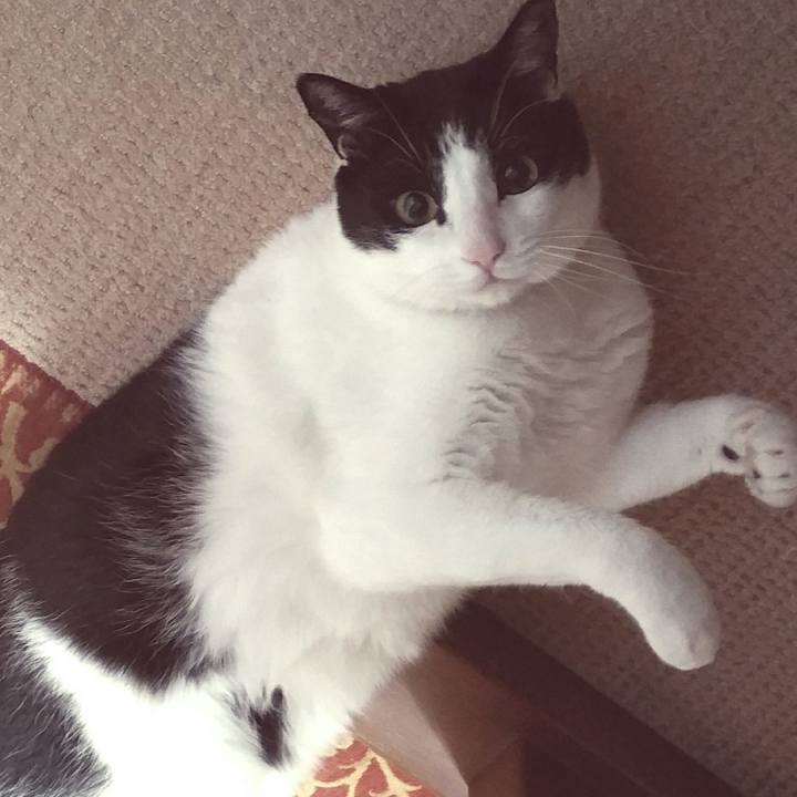 19eac490 5c27 47c9 a02d b72ad73842b3 1545259422631