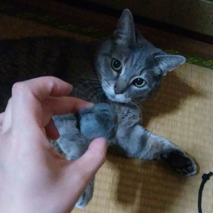 19eb0908 947f 49f5 bcc7 015c4241a72d 1520673160126