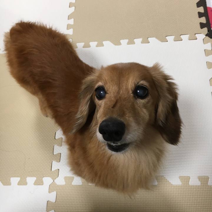 19eb66ce cef1 4206 b989 f4761ec1ef4a 1629978128988