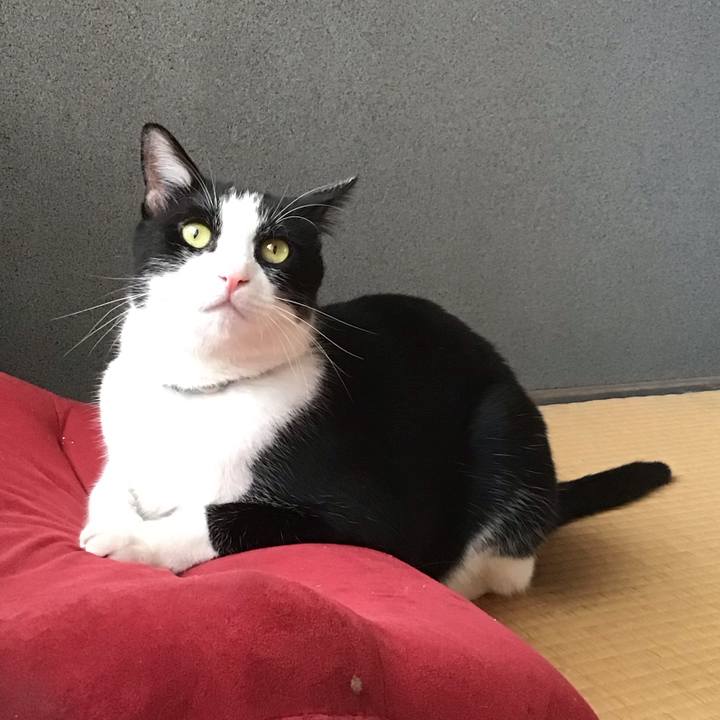 19eb77dd b15b 4ad1 8458 e96992946a3d 1690196131058