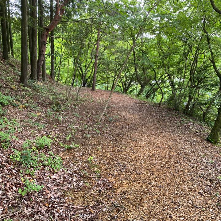 19eb86d7 c059 4b4b bd30 a50f345a67f0 1654495349832