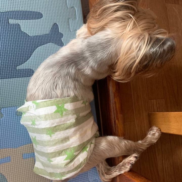 19ebc0e5 19d4 4fe8 a0ef b4884a807327 1661164719758