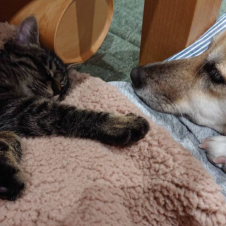 19ebe547 8b3f 48cc b4ef c5a5a5b5aa94 1577523667353