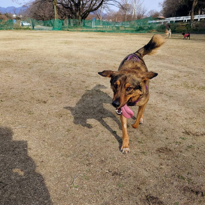 19ebf927 b404 44c4 85b9 25521f3615d1 1741998960337