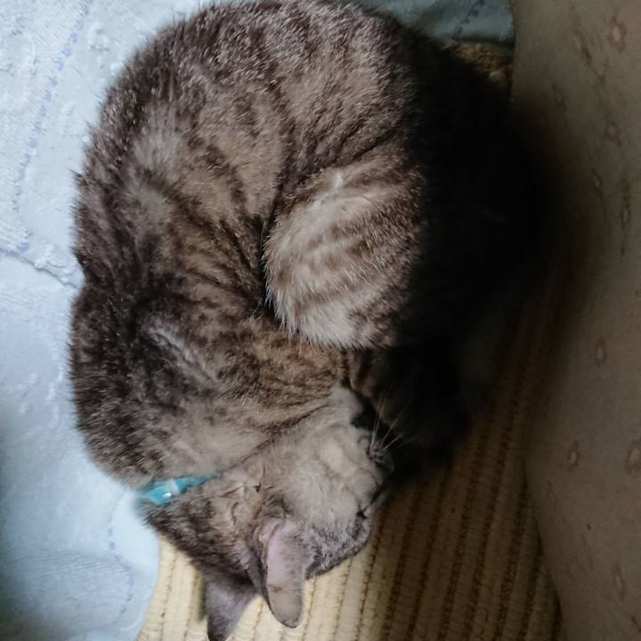 19ebf9b0 75cb 4d11 ac38 2dc409c69b3f 1567372106208