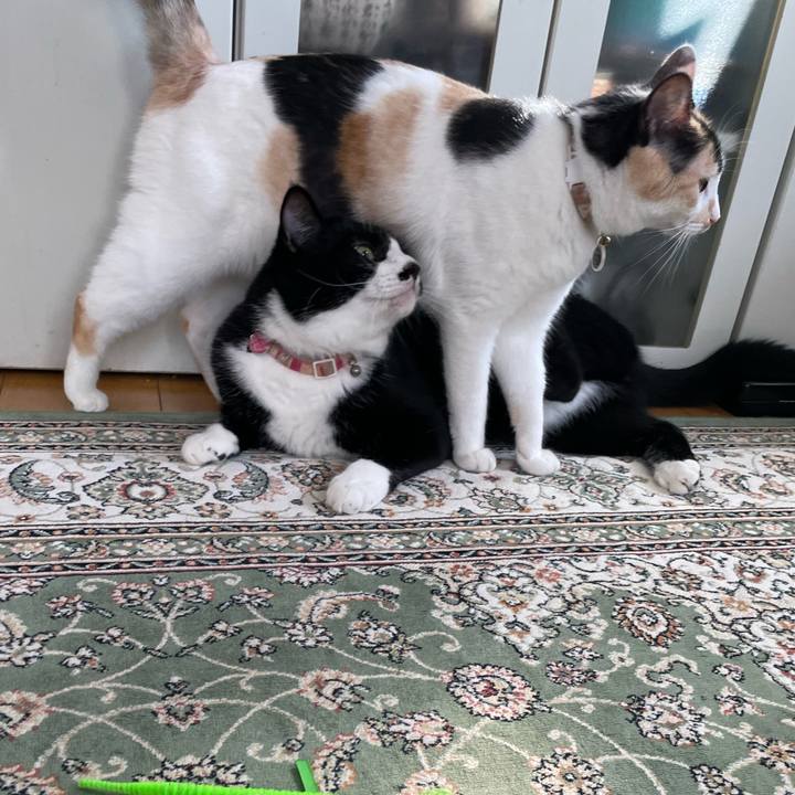 19ec147a 795d 4573 925f 48f008e4dfaf 1690324220573