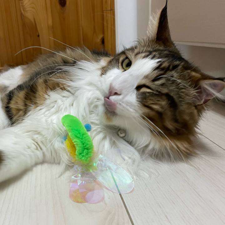 19ec6392 d06e 479d bbd3 2c5b0bbca839 1650363386170