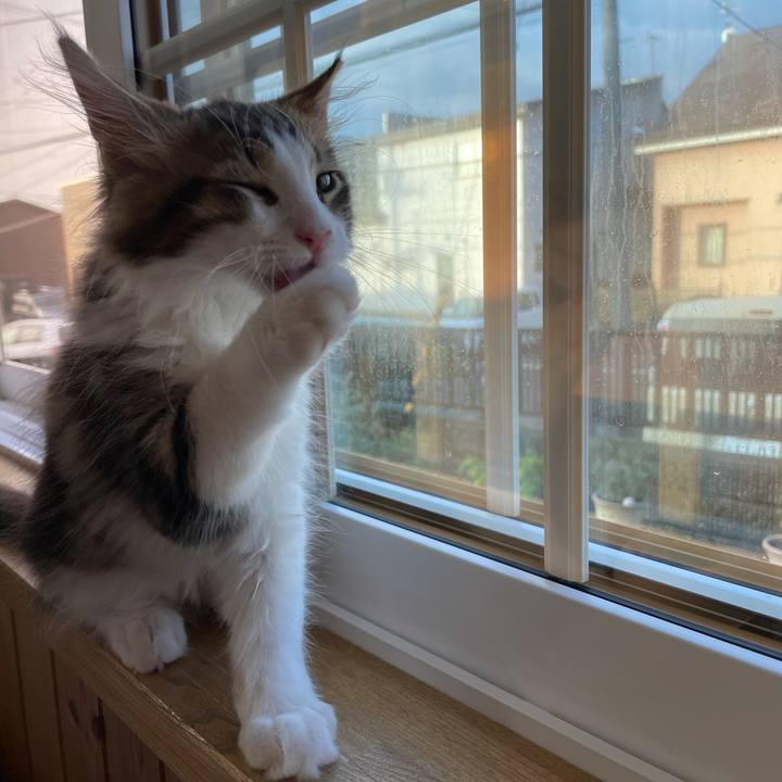 19ec6393 7d97 4bdf 8738 fa0d52a38cf7 1632348345545