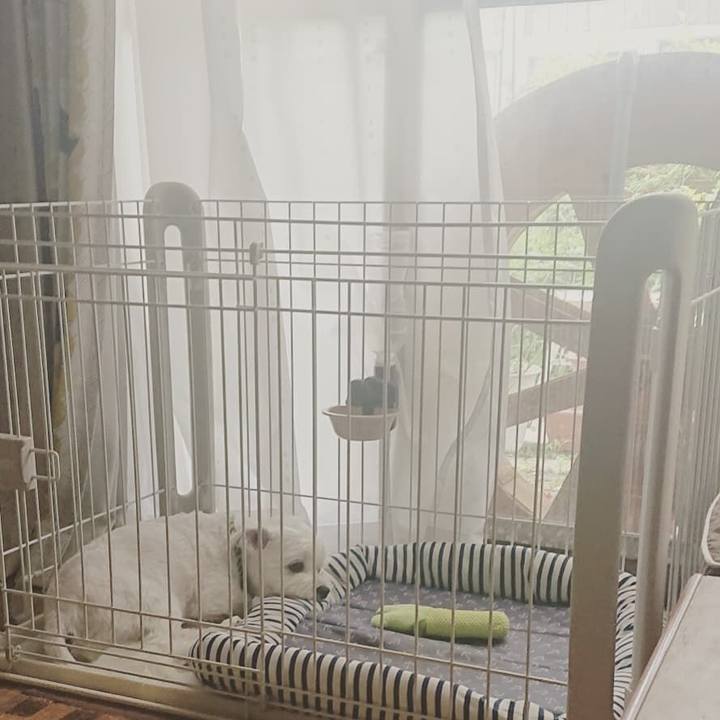 19ec6413 3579 4a4b a768 8c51fcea3e29 1592270963129