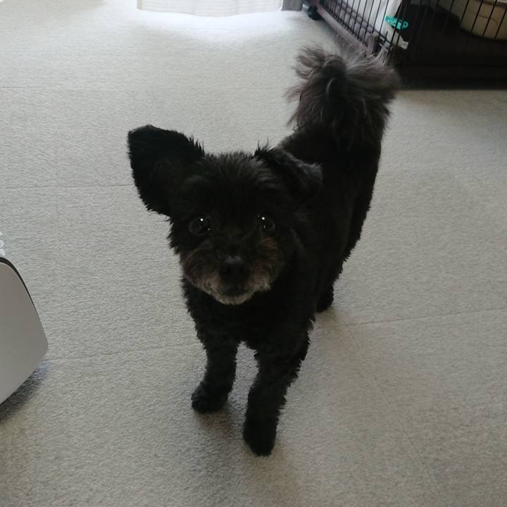 19ec7c35 19a7 47ed 9073 188f3d3a1507 1560467291282