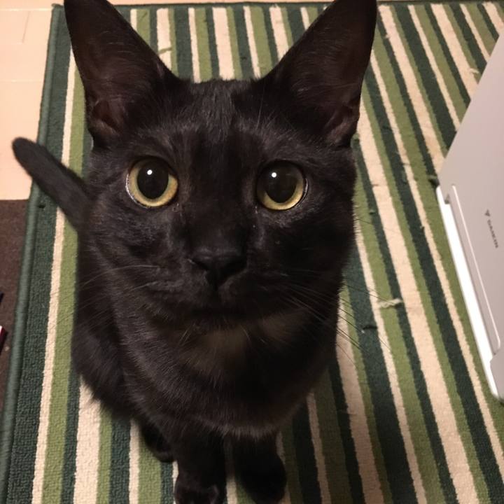 19ec811a bf2e 45aa 9e62 7aa4fb5355e1 1549643031264