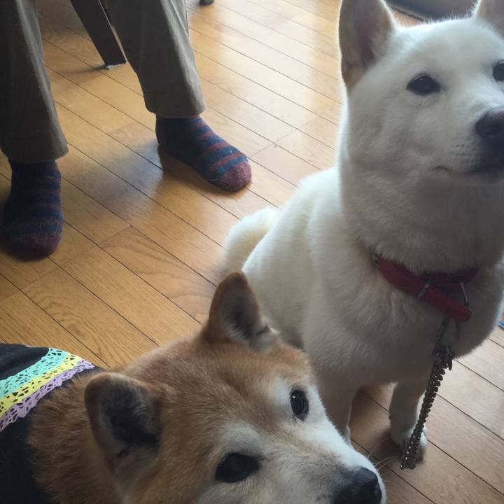 19eccfc9 0aa1 4dbf 9e68 3db294d41f06 1534895029655