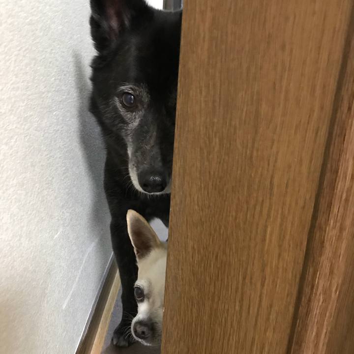 19ed2ff2 3a39 4eb4 824f 4c7be89d61d2 1523539886291