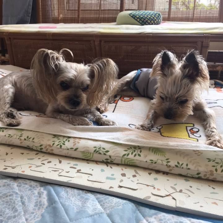 19ed417b 740d 4064 b887 557c156e88a3 1688288925933