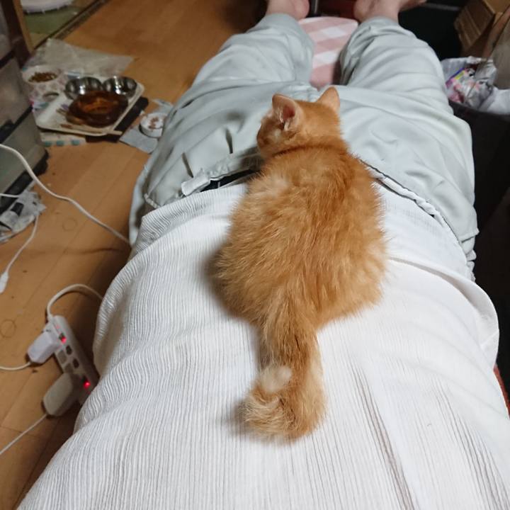 19ed7a46 213b 4609 ac2c e66cf59cd62c 1629627551236