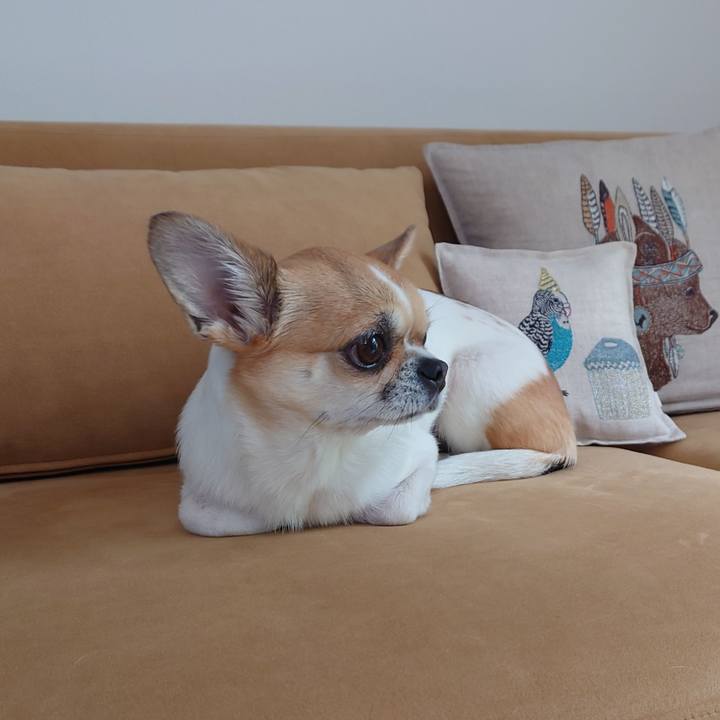 19eda33a 73d4 427a 9296 a9a26e90a1a3 1682149688040