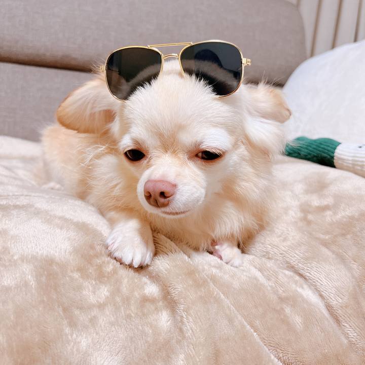 19ee0fe6 e18c 40fb ab90 744b62ec8b37 1663581277755