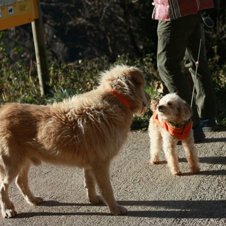 19ee3426 8296 4744 aea0 27a1bbf1c6f4 1547050414149