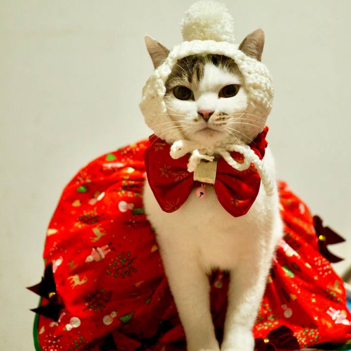 19ee91cc fdd5 4904 803e 9714a369d471 1701591987587